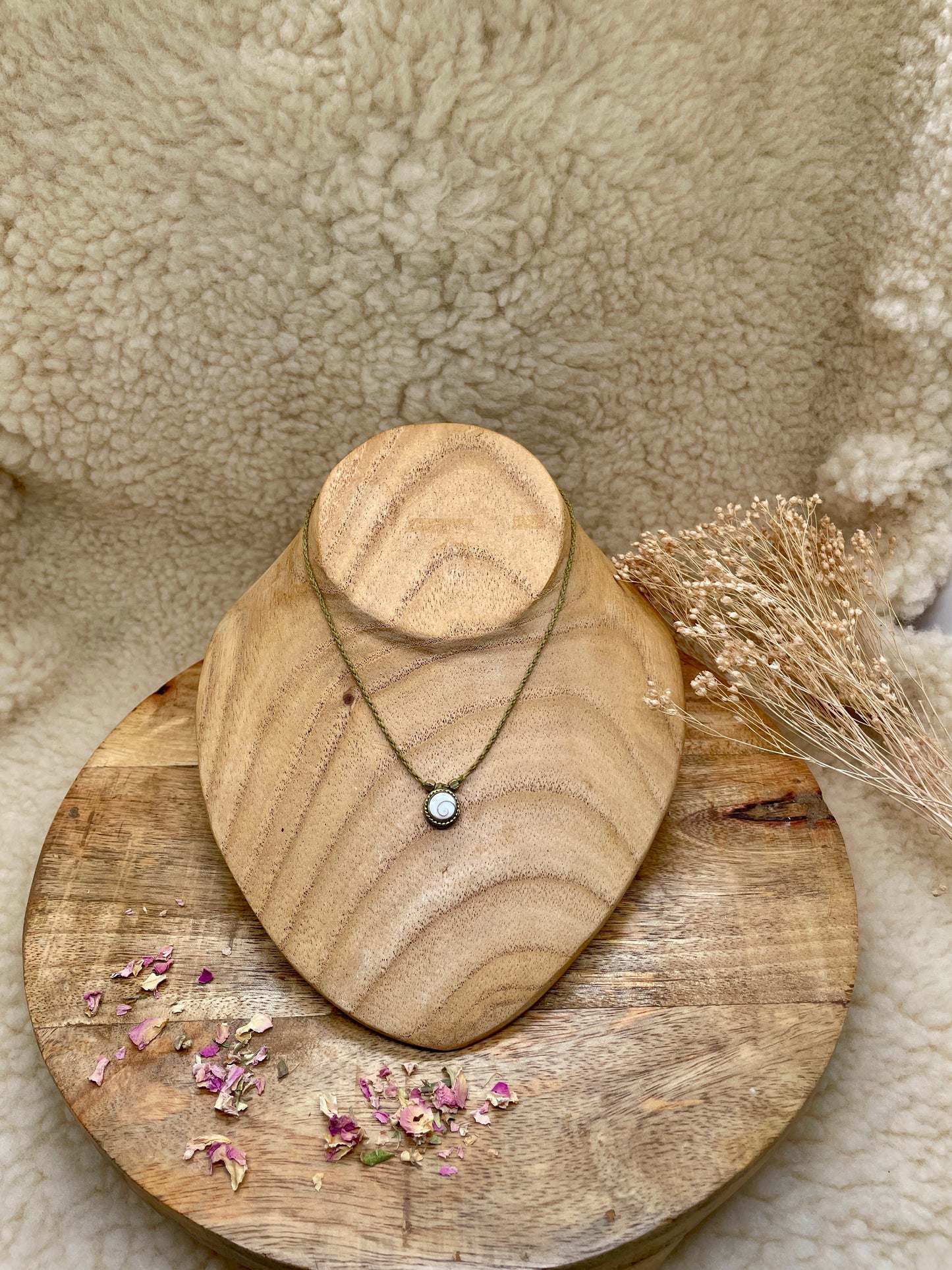 Oeil de Sainte Lucie